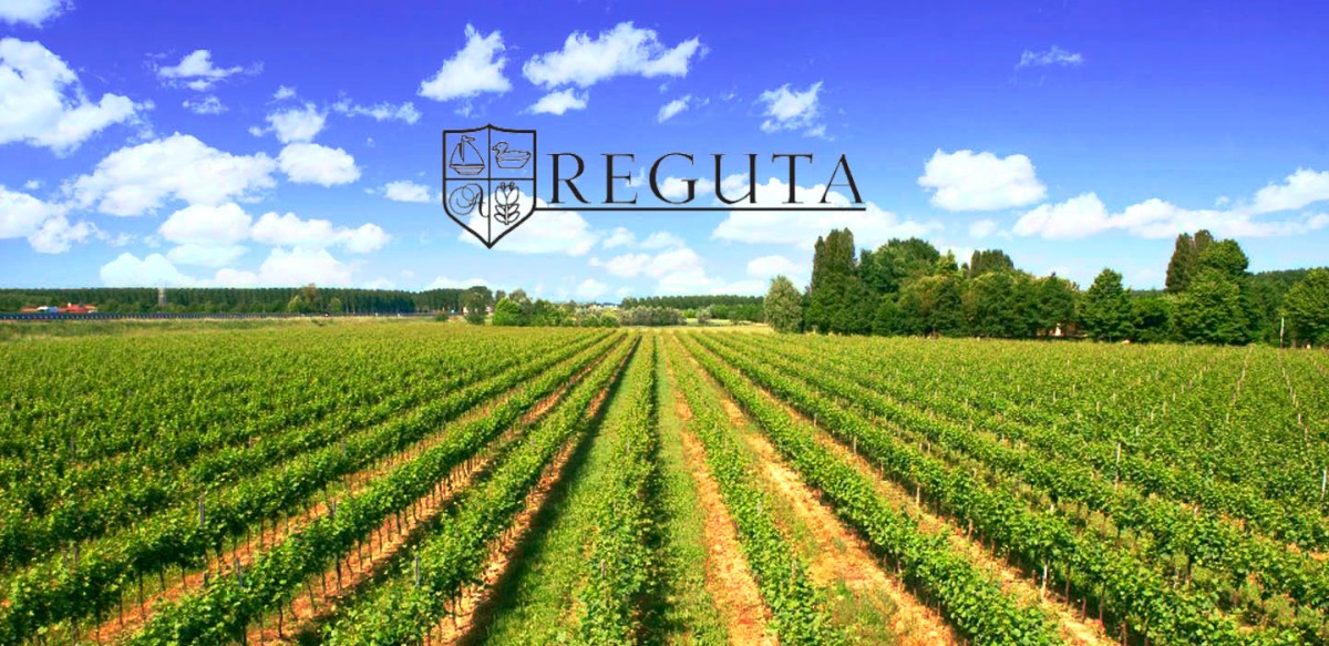 Reguta Winery